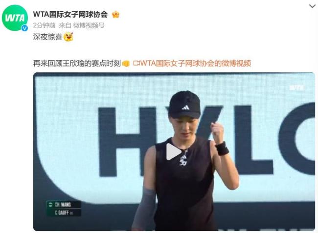 球智商迅速