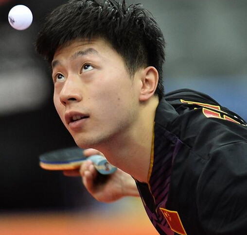 这场转会博 这场转会博