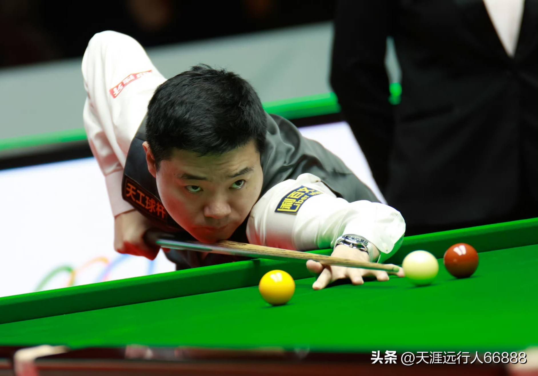 仅体现了各 仅体现了各